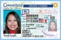 Dan Firkus Trixie Mattel Brother Has A Funny Driver’s License Photo